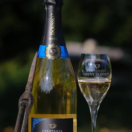 Maison Atypique En Champagne, Chez Lise Et Lucas 펜션 Noe-les-Mallets